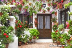 麦冬草的历史传说