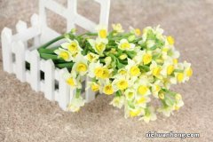 水仙冬天能开花吗