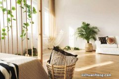 她用一根线就把花养成了瀑布,美到记者都来采访