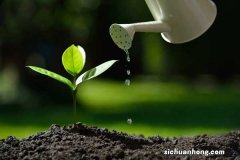 牛奶浇花的害处