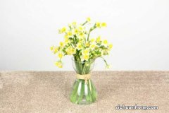 水仙花三大培植方法