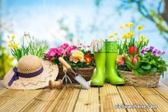 最强悍养花神技,老花农看了都自卑